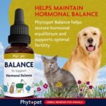 Phytopet Balance, All Natural Hormone Balance and Stability for Dogs and Cats, Easy to Use Herbal Supplements, 30ml - 100% Herbal Phytopet Pet Supplies - Image 3