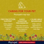 Phytopet Balance, All Natural Hormone Balance and Stability for Dogs and Cats, Easy to Use Herbal Supplements, 30ml - 100% Herbal Phytopet Pet Supplies - Image 5