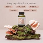 Uplift & Revitalise - 60 Capsules - Nettle Seed, Reishi, Rhodiola and Liquorice Come Together with Vitamin C in This Adaptogenic Blend to Support Your Body with Burnout and Fatigue - Image 4