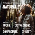 Grass & Co. Nootropics Drinks with Lion's Mane (1000mg), Omega-3, Ginseng, Vitamin B12 & More | Liquid Focus | Elderflower & Sicilian Lemon | Lightly Sparkling | Vegan | 12 x 250ml Cans - Image 4