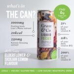 Grass & Co. Nootropics Drinks with Lion's Mane (1000mg), Omega-3, Ginseng, Vitamin B12 & More | Liquid Focus | Elderflower & Sicilian Lemon | Lightly Sparkling | Vegan | 12 x 250ml Cans - Image 5