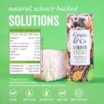 Grass & Co. Nootropics Drinks with Lion's Mane (1000mg), Omega-3, Ginseng, Vitamin B12 & More | Liquid Focus | Elderflower & Sicilian Lemon | Lightly Sparkling | Vegan | 12 x 250ml Cans - Image 8