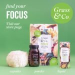 Grass & Co. Nootropics Drinks with Lion's Mane (1000mg), Omega-3, Ginseng, Vitamin B12 & More | Liquid Focus | Elderflower & Sicilian Lemon | Lightly Sparkling | Vegan | 12 x 250ml Cans - Image 9