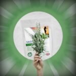 Sage Leaf Extract 800mg Tablets - Women Health, Menopause Hormonal Balance, Carnosic Acid (Pack of 60) - Image 5