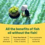 Omega 3 Algae Oil : 400mg DHA - for Heart, Joints, Brain Health, High Strength 180 Softgel Tablets, 6 Months Supply. Vegan Vitality's Algae Omega 3 - Vegans, Vegetarians DHA Supplement - Image 5