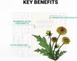 Dandelion Leaf Tea by Amelia Rose | 50 Tea Bags | 100% Pure Bulgarian Dandelion Leaves | Natural Detox & Digestion Support | Caffeine-Free Herbal Tea - Image 3
