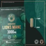 Organic Lions Mane Supplement 3000mg | High Strength Polysaccharides | Mushroom Extract Capsules | Vegan | 90 Count | by Wiseshrooms - Image 7