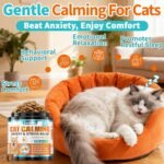 Cat Calming Treats, 500 Crunchy & Creamy Calming Cat Treats with Melatonin, Chamomile for Cats Stress and Anxiety - Travel, Boarding, Vet Visits, Separation Anxiety, Chicken and Krill Flavored - Image 3