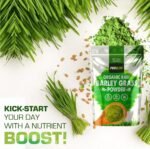 Organic Wheatgrass Powder 250g Premium EU High in Iron & Fibre to Support Energy and Stress, Vegan Keto Superfood Supergreen Raw Natural Wheatgrass Powder Juice, Wheat Grass Shots PROELITE - Image 7