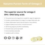 Vegan Omega 3-1200mg Fermented Algae Oil - High Strength EPA DHA - Natures Purest Omega Fatty Acids - Contaminant-Free Alternative to Fish Oil, Cod Liver Oil & Krill Oil - 60 Softgels by Wellology - Image 4