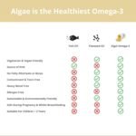 Vegan Omega 3-1200mg Fermented Algae Oil - High Strength EPA DHA - Natures Purest Omega Fatty Acids - Contaminant-Free Alternative to Fish Oil, Cod Liver Oil & Krill Oil - 60 Softgels by Wellology - Image 5