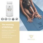 Vegan Omega 3-1200mg Fermented Algae Oil - High Strength EPA DHA - Natures Purest Omega Fatty Acids - Contaminant-Free Alternative to Fish Oil, Cod Liver Oil & Krill Oil - 60 Softgels by Wellology - Image 7