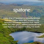 Spatone Natural Iron Supplement + Vitamin C (28 Sachets), Daily Convenient Liquid Iron Sachets, Nothing Artificial, Better Absorption than Tablets, Less Side Effects, Apple Flavour - Image 4