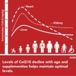 Liposomal CoQ10 Ubiquinol 600mg, 60 Mini Softgels, High Strength Active Coenzyme Q10, Enhanced Absorption, Premium Quality Formula, 60 Count (Pack of 1) - Image 3