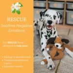 Aromadog Rescue Stuffingless Flattie Dog Toy 54cm – Scented Calming Plush with Therapeutic Essential Oils, Soft Soothing Toy with Squeaker, Stress and Anxiety Relief for Dogs - Image 3