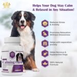 EQ K9 Calming Treats for Dogs, Reduce Stress & Anxiety, Fear, Hyperactivity & Barking, non drowsy with L-Theanine Skullcap Valerian Chamomile Vitamin B L-Tryptophan, 120 Dog Calming Tablets - Image 3