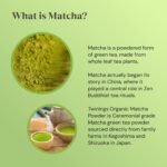 Twinings Matcha Green Tea Powder Tin - Organic Ceremonial Grade Matcha Powder from Japan, Tea for Health & Self Care, Vegan Friendly, Enjoy Hot or Cold, 30g - Image 3