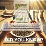 Fennel Seed Extract 480mg Foeniculum Vulgare x120 Capsules Healthy Mood - Image 5