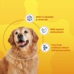 Senior Dog Multivitamins Nutritional Supplement - 12 multivitamins and essential minerals - 70 tablets - for active lifestyle, joint care and immunity - Image 4