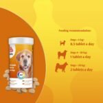 Senior Dog Multivitamins Nutritional Supplement - 12 multivitamins and essential minerals - 70 tablets - for active lifestyle, joint care and immunity - Image 5