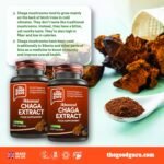 100% Organic Chaga Mushroom Extract -1800mg - 120 Vegan Capsules | Improve Immunity- Energy, Mental Focus and Stress Relief | by Good Guru, Chaga Mushroom Extract - Image 9