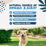 Pets Purest Goats Milk Powder for Dogs - 250g Whole Goats Milk Powder, Low-Lactose Nutrient-Rich Dog Milk for Hydration, Gut Health, Immunity and Improved Appetite in Pets of All Ages - Image 5