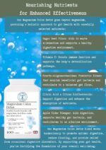 Magnesium Colon Detox - 4 Types of Magnesium, Prebiotic, ACV, VIT C - Magnesium Based Bowel Cleanse - Vegan - 100 Capsules - Image 6