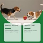 Dog Health Supplies - 60ml Gentle Skin Support Drops - Dog Health Supplements - for Puppy Kitten Pet Daily Shiny Coat Support Energy - Image 8