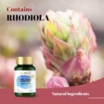 GinSen Uterus-Lining Maintenance,Support Optimal Uterus Thickness, Reproductive Function, 150 Capsules, Vegan Approved Supplement, Herbal Extract & Vitamins Made in UK - Image 4