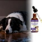 Sleep Aid For Dog, Easy To Use, 60ML Stress Relief Pet Supplement, Puppy Nighttime Relaxant, Relieves Stress & Tension, For Feeding Body Tension Puppy Small Medium Large Breed Travel - Image 3