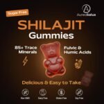 Shilajit Gummies 1400mg – Pure Himalayan Complex with Ashwagandha, Chaga, Fulvic Acid & 85+ Trace Minerals – Vegan & Sugar-Free – 60 Gummies - Image 5