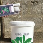 Hilton Herbs Detox Gold 1 Litre - Image 7