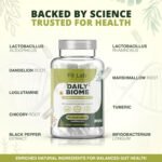 Fit Lab - Gut Health 90 Capsules - Probiotics, Prebiotic Fibre, L Glutamine & Botanicals - Gut Health Supplements, Bloating Relief, Constipation Relief and Immune Support - Image 7