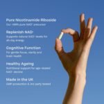 Nicotinamide Riboside NAD Supplement | 120 Capsules x 300mg | >99% Purity | High-Strength NAD⁺ Precursor for Fatigue Reduction, Cellular Energy & Healthy Ageing | Made in The UK - Image 3