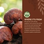 NutriCraft Organic Reishi Mushroom Powder – 1kg, 100% Pure, No Additives or Preservatives, Immune Support, Detox, Antioxidant Rich, Vegan, Gluten-Free, Kosher, Superfood - Image 5