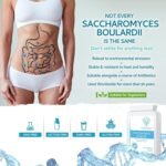 Saccharomyces Boulardii 5 Billion CFU 90 Capsules - No Refrigeration Required - High Strength Non-Colonising Yeast with synergistic Olive Leaf, Biotin and Vitamin D3 - Image 5