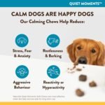 NaturVet Calming Chews for Dogs - Bacon Flavour 120 Chews - Reduce Stress, Anxiety, Fear, Separation, Hyperactivity, Reactivity, Aggression, Travel - Vet Approved Natural Ingredients - Image 3