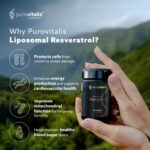 PUROVITALIS Liposomal Resveratrol 250mg, 30 Servings (30 Vegan Capsules), High Purity Trans-resveratrol Antioxidant Supplement - Image 3
