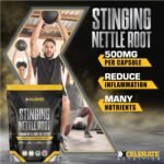 Stinging Nettle Root 12,000mg 24:1 Extract Capsules - Organic & Vegan Support for Prostate Health, Inflammation Relief & Immune Support | Non-GMO, No Additives by XCelerate Nutrition (180 Capsules) - Image 4