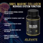 Elevate Supplements 100% Marine Collagen (Type 1), 30 Capsules | Added Hyaluronic Acid, Vitamin C & Biotin for Skin, Hair, Nail, Joint & Nervous System Support | Multi-Benefit Beauty Supplement - Image 5