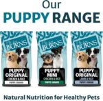 Burns Pet Nutrition Hypoallergenic Complete Dry Dog Food Puppy Original Lamb and Rice 2 kg - Image 5