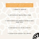 Collagen Powder with L-Glutamine - Strengthen Immune System | Vitamin C, D, Selenium, Zinc, Ginger, Elderberry, Vital Mushrooms | 450g Strengthen Immune System Glutamine Powder | JARMINO - Image 3