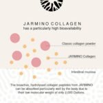 Collagen Powder with L-Glutamine - Strengthen Immune System | Vitamin C, D, Selenium, Zinc, Ginger, Elderberry, Vital Mushrooms | 450g Strengthen Immune System Glutamine Powder | JARMINO - Image 5