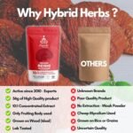 Organic REISHI Mushroom Powder 10X Strength - Natural Supplement for Immunity, Skin, Stress & Sleep Support with Beta Glucans & Terpenes | HIGH Potency 10:1 Extract - 56 Serving (56g) - Image 5