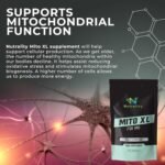 Mito XL 738mg Supplement | Mitochondrial Supplements for Cellular Energy | Vitamin B2, Schisandra, Turmeric & Black Pepper | 60 Vegan Capsules - Image 3