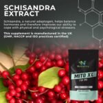 Mito XL 738mg Supplement | Mitochondrial Supplements for Cellular Energy | Vitamin B2, Schisandra, Turmeric & Black Pepper | 60 Vegan Capsules - Image 6