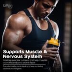 Magnesium Glycinate 5 in 1 Supplement -1800mg as Bisglycinate Citrate & Malate | 384 mg Elemental Magnesium | Ashwagandha & B6 Quality Sleep Muscle Health & Immune Support 90 Vegan Capsules (3) - Image 6