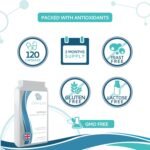 Moringa 500mg 120 Capsules - 100% High Strength Superfood - Image 6