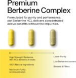 Berberine Metabolic Control 500 mg – with Ceylon Cinnamon, Alpha Lipoic Acid, Chromium & Black Pepper – Vegan Capsules – UK GMP Certified – 90 Count for Balanced Wellbeing - Image 6
