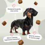 Calming & Anxiety Soft Chew Dog Supplements - Daily Relief from Stress, Anxiety & Nervousness with Chamomile, Green Tea, L-Tryptophan with Omega 3 EPA & DHA – 60 Soft Chews - Image 5